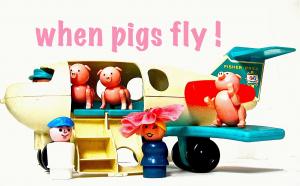 When PIGS Fly